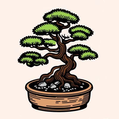 japan bonsai