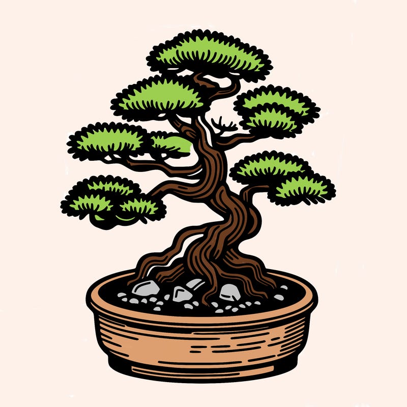 japan bonsai