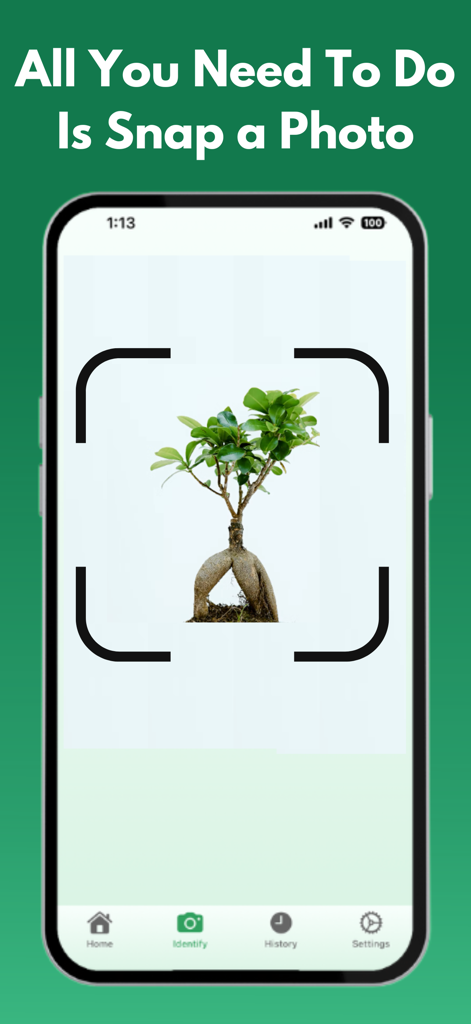 Plant Identifier: PlantRobot - Un smartphone mostrando la interfaz de la aplicación PlantRobot con una planta centrada en el visor de la cámara para su identificación