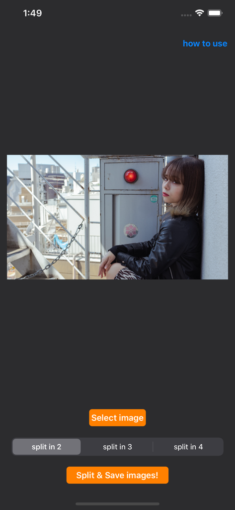 TweetSplit 앱 인터페이스로, 2, 3 또는 4개의 세그먼트로 분할하도록 선택된 사진을 보여줍니다.