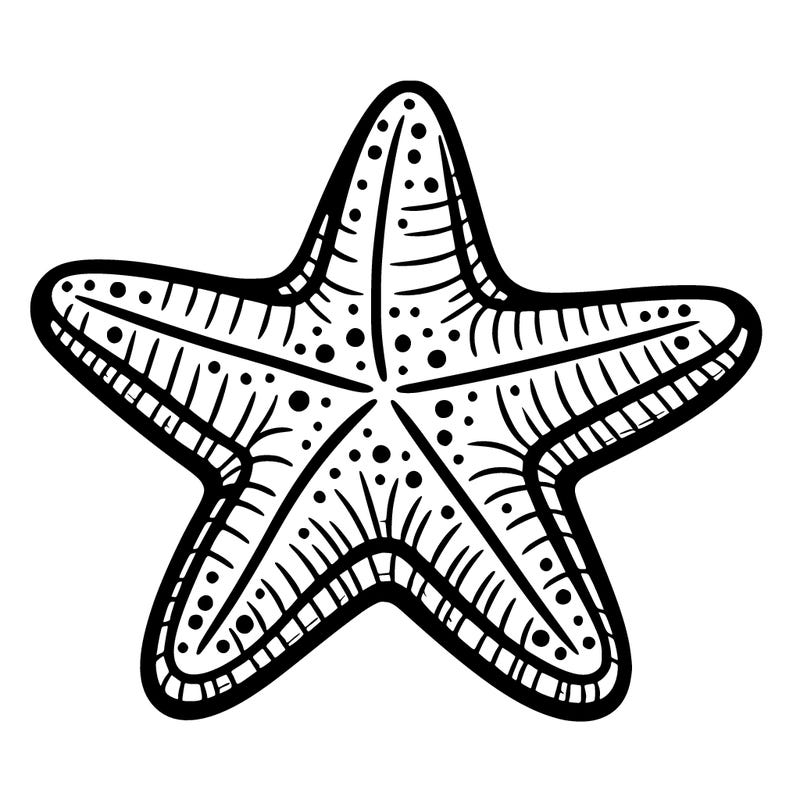 starfish