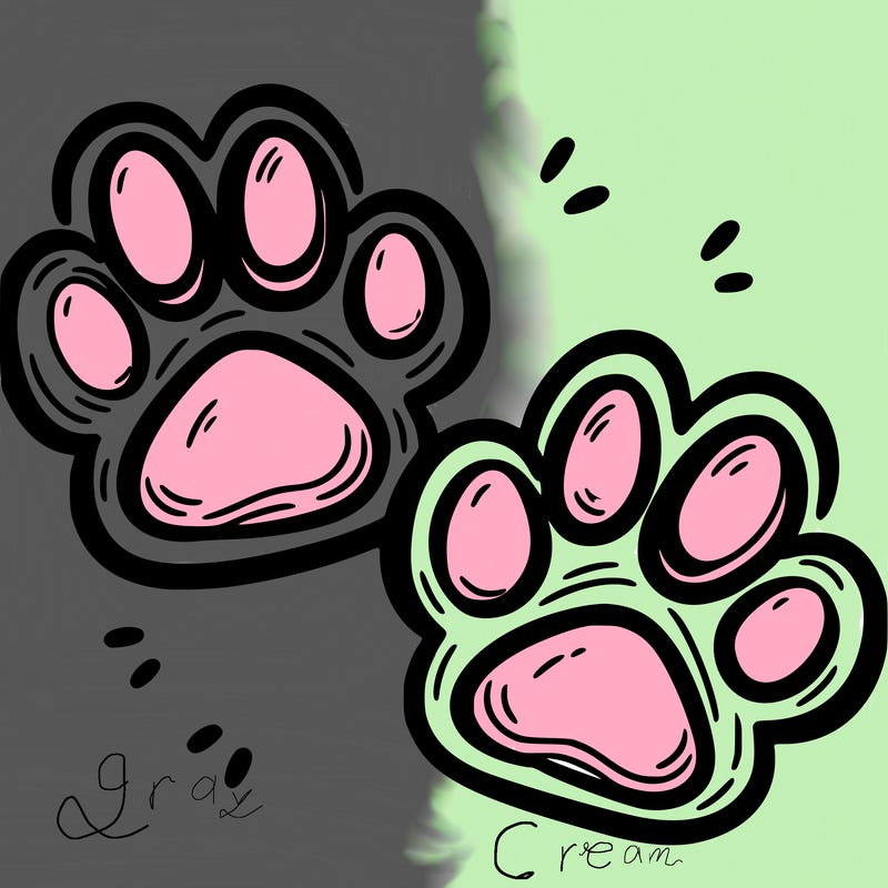 paw prints