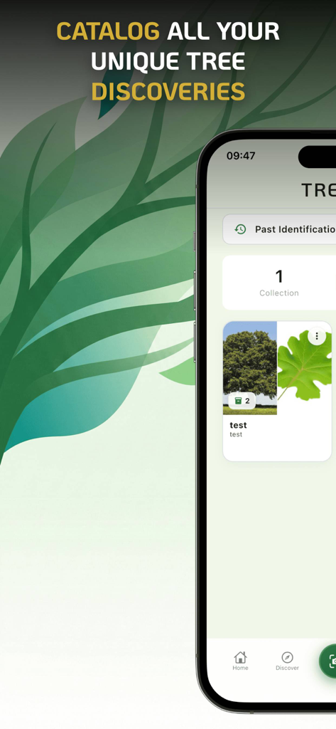 Tree Identifier : Leaf Finder - Smartphone screen displaying a collection of identified tree and leaf species in the Treely app