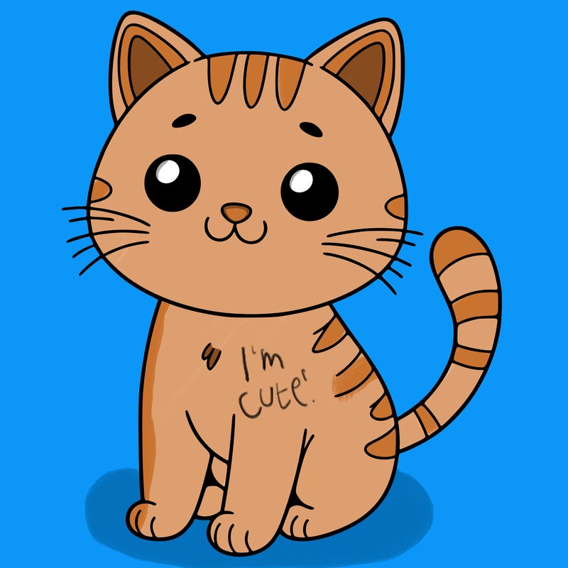 cat