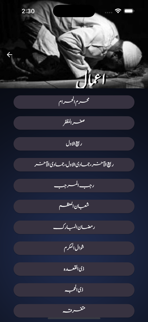 Shia 313 - Shia 313 app screen showing the Monthly Amaal menu with a list of Islamic months in Urdu