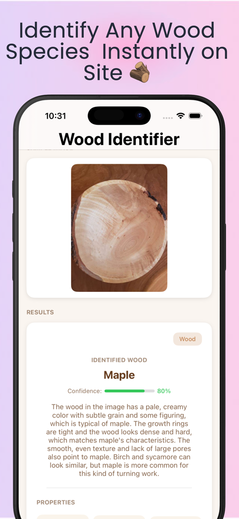 Wood Identifier AI Scanner - Wood Identifier AI Scanner app displaying an identification result for Maple wood with 80 percent confidence
