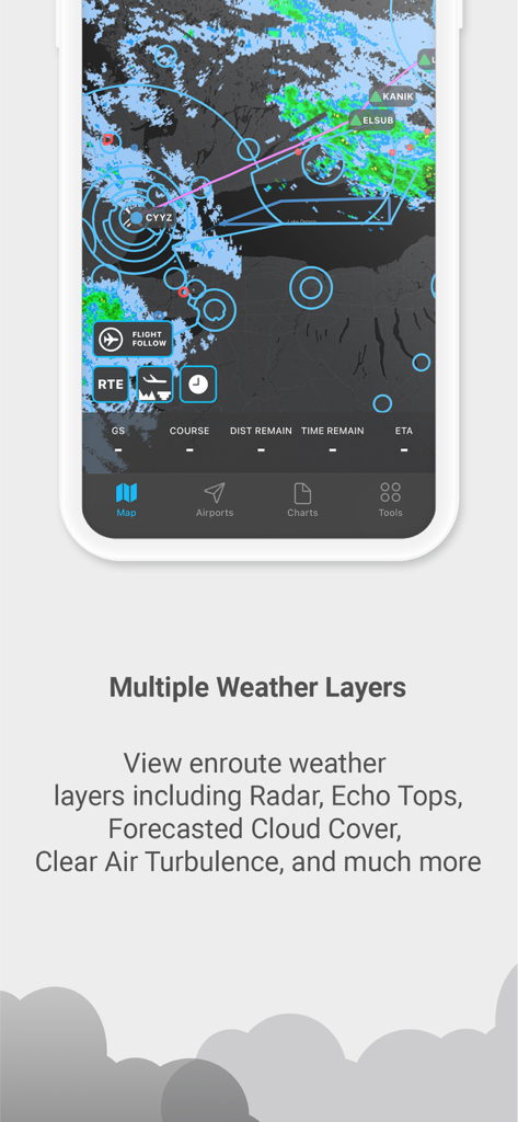 Noisy Goose app interface displaying multiple aviation weather layers and flight route information on a map