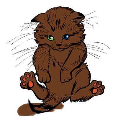 animals_20