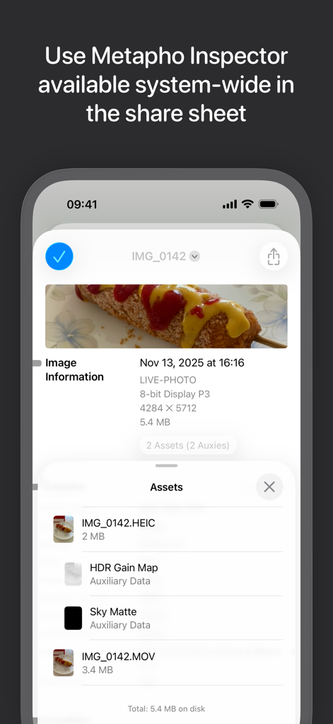 Metapho - Metapho Inspector displaying detailed photo metadata and assets within the iOS share sheet