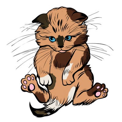 animals_20