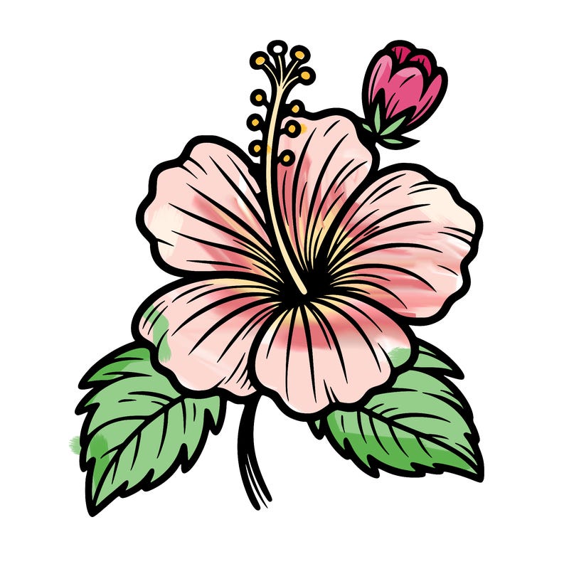 hibiscus flower