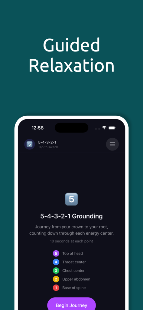 Regulator - A smartphone screen showing a 5-4-3-2-1 grounding exercise within the Regulator app for guided relaxation.
