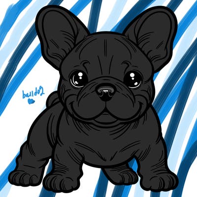 french bulldog