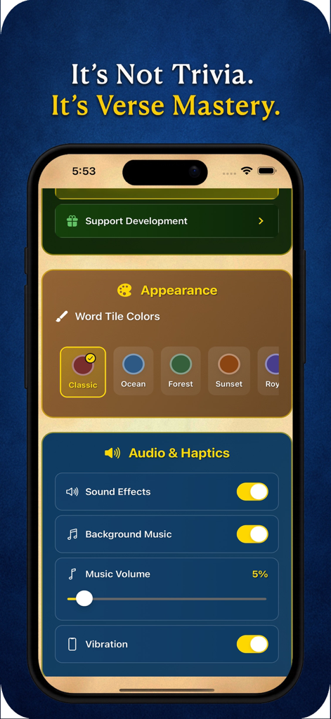 Verse Pursuit - Pantalla de configuración de la aplicación Verse Pursuit que muestra opciones para la personalización de la apariencia y los controles de audio.