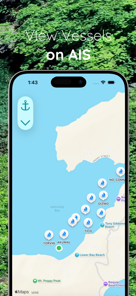 Hooked: Remote Anchor Alarm - Interfaz de la aplicación Hooked que muestra el rastreo de embarcaciones AIS en un mapa costero de Admiralty Bay