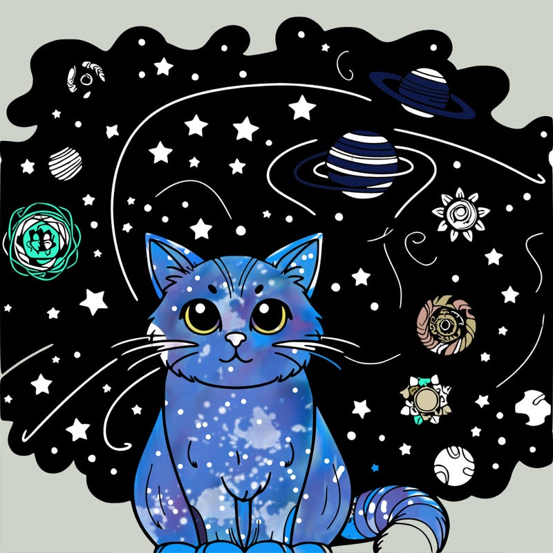 gato en el universo