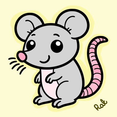 rat