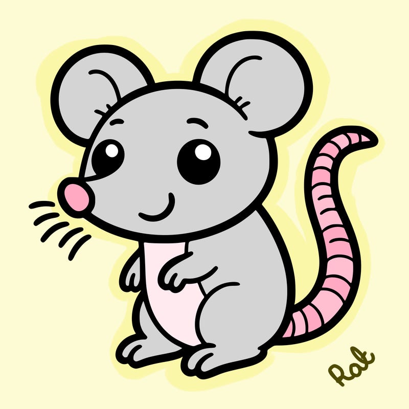 rat