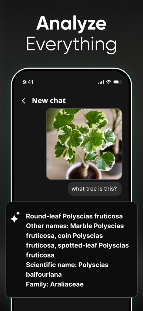 AI Chatbot- Smart AI Assistant - Una captura de pantalla que muestra al chatbot IA identificando una planta a partir de una foto utilizando razonamiento visual y la función de cámara IA.