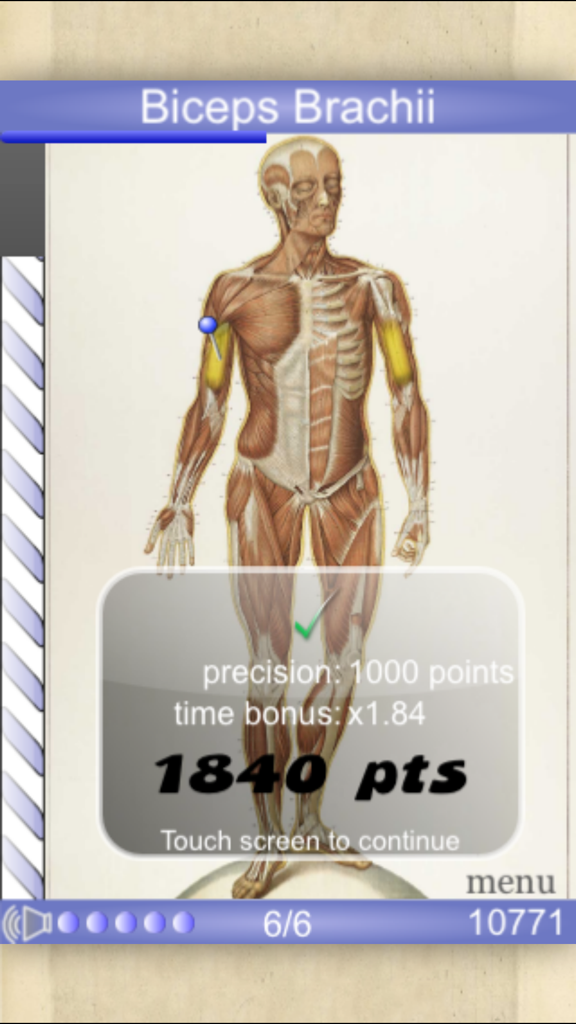 Speed Muscles MD - Anatomy quiz interface showing points earned for identifying the biceps muscle