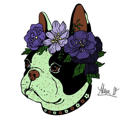 animals_76