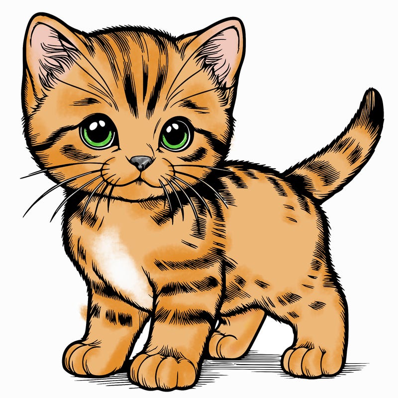 realistic kitten