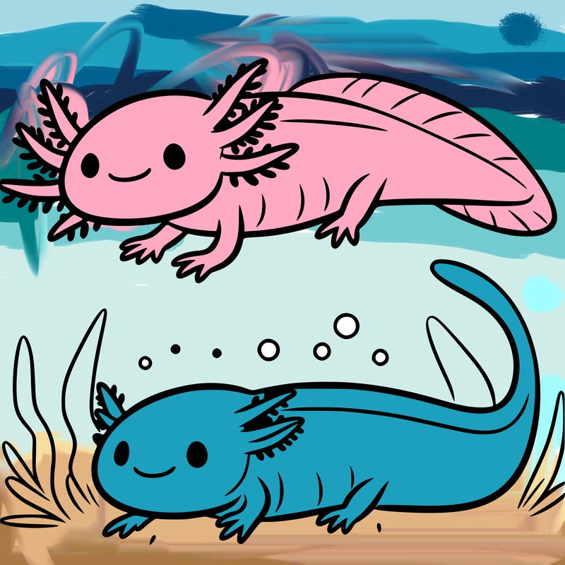 axolotl