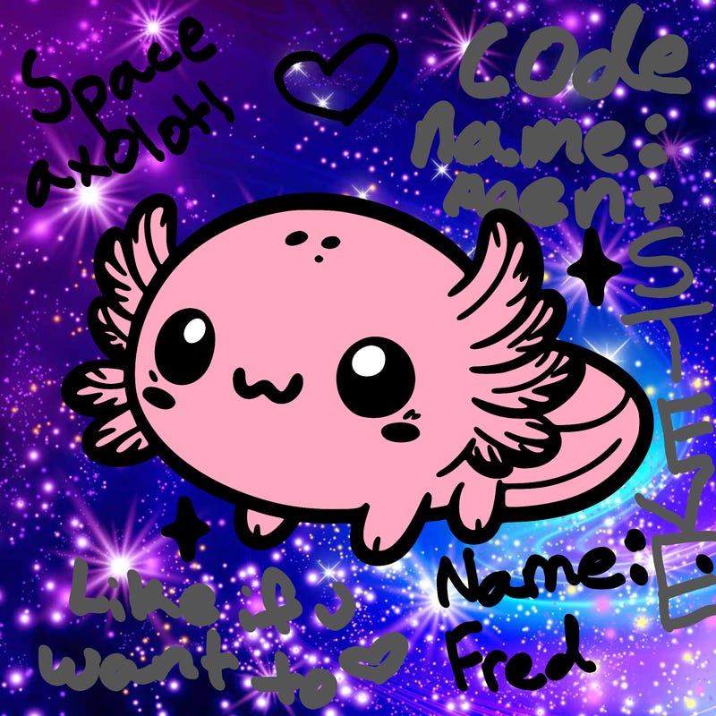 cute easy baby axolotl