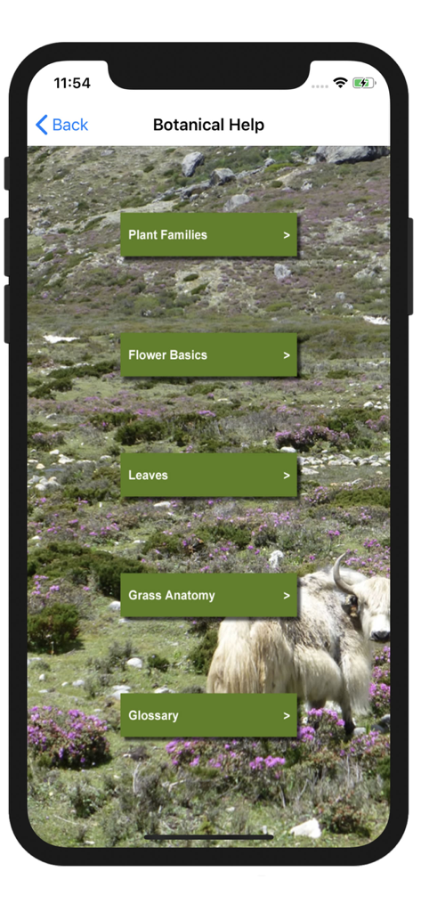 Wildflowers of Mount Everest - Botanical Help section of the Wildflowers of Mount Everest app showing educational categories over a mountain landscape with a yak.