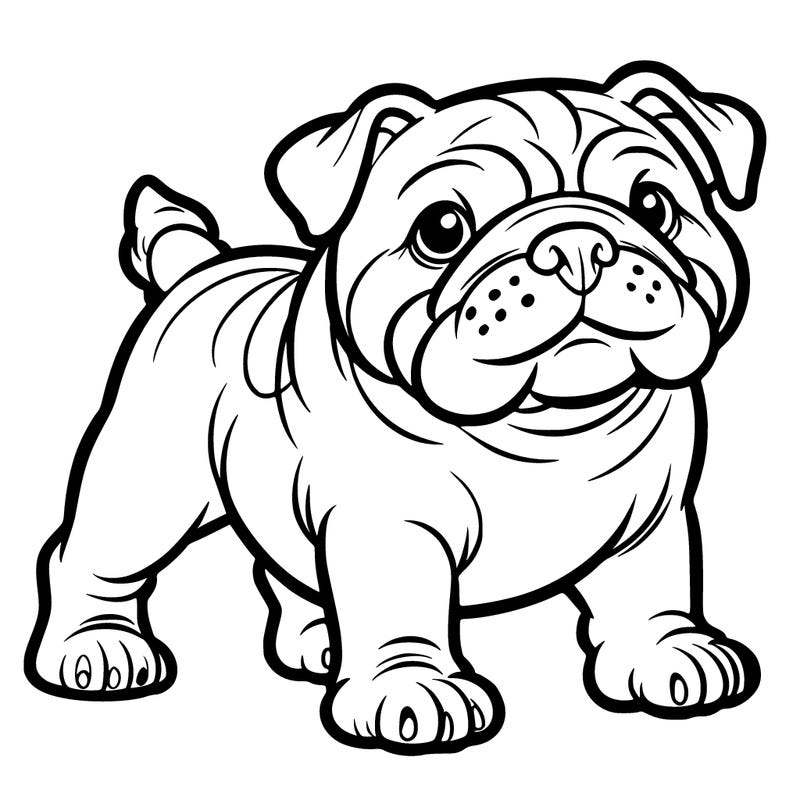 bulldog