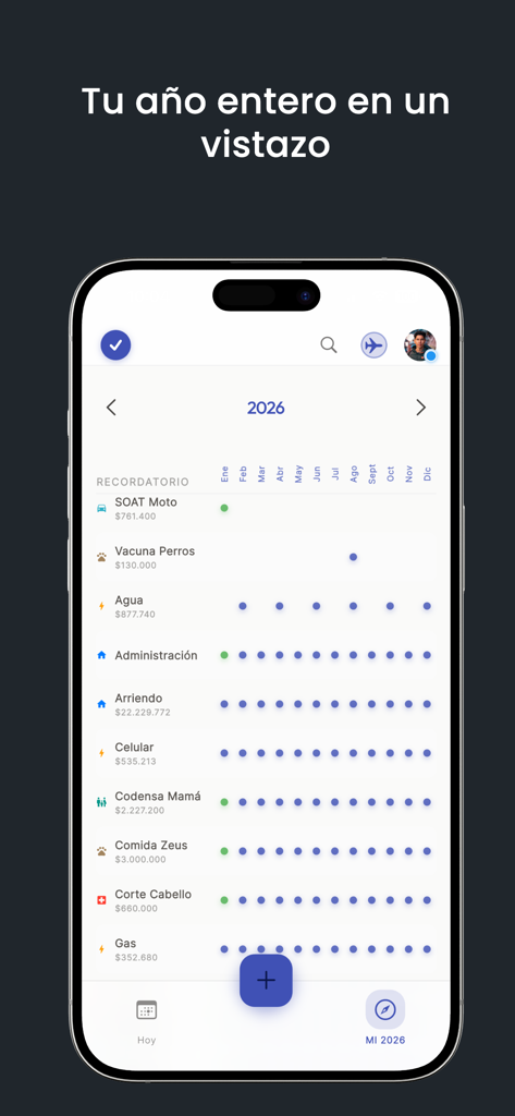 NoSeMePasa: Planeador de Pagos - Mobile App-Oberfläche zeigt eine jährliche Kalenderansicht von wiederkehrenden Haushaltszahlungen und Familienerinnerungen.