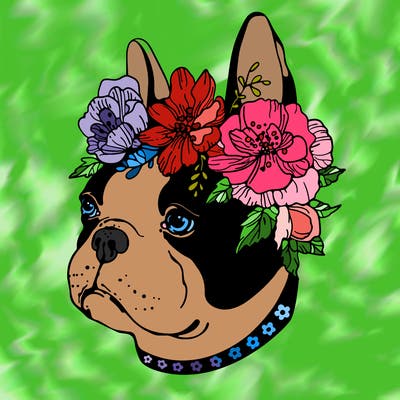 animals_76