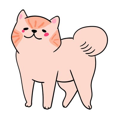 animals_29