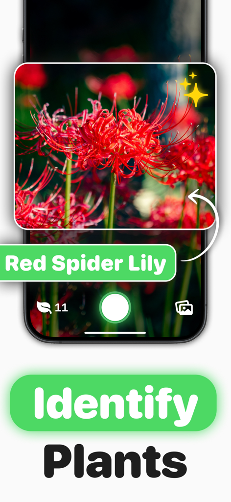 Pantalla de smartphone identificando un lirio araña roja usando la aplicación Plantastic