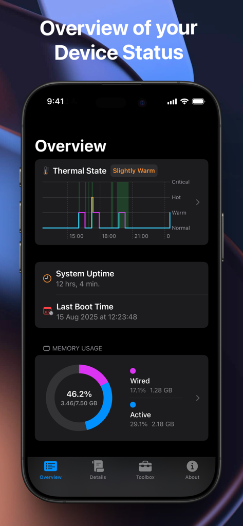 Status Monitor - ステータスモニターアプリのiPhoneでのダッシュボード。リアルタイムの温度状態グラフとメモリ使用量統計が表示されています。