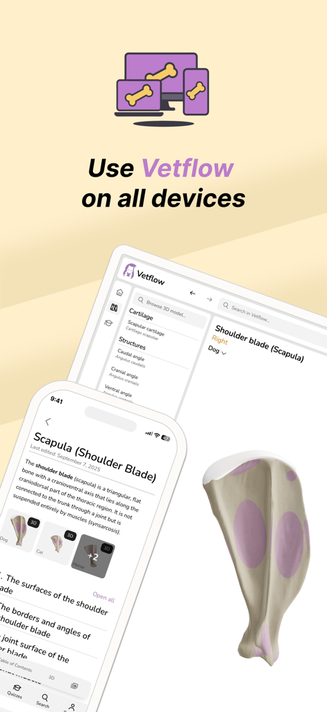 Vetflow - Learn Anatomy - Aplicación de anatomía veterinaria Vetflow mostrada en pantallas de smartphone y tablet.