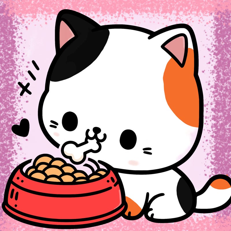 a cute cat eating food