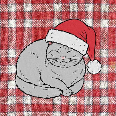 kitty in a santa hat
