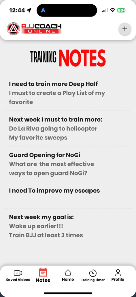 Una captura de pantalla de la función Notas de Entrenamiento en la aplicación BJJ Coach Online que muestra objetivos personales de práctica de Jiu Jitsu Brasileño y recordatorios de técnicas.