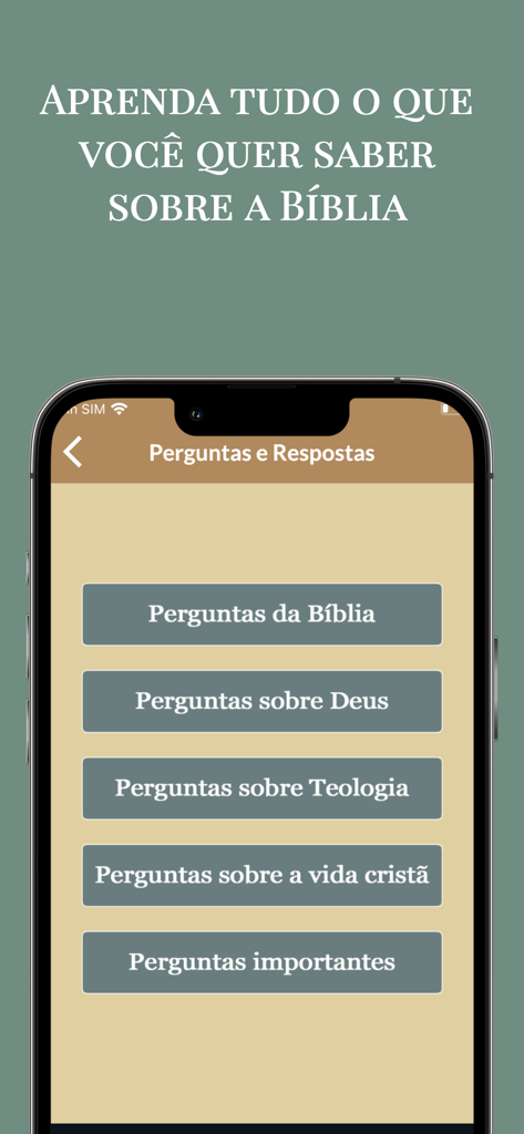 Tela móvel mostrando categorias de perguntas e respostas da Bíblia no aplicativo Esboços de Pregações.