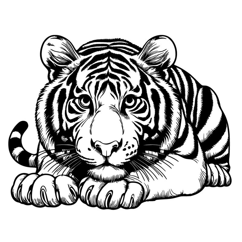 ℝ𝕖𝕒𝕝𝕚𝕤𝕥𝕚𝕔 𝕋𝕚𝕘𝕖𝕣