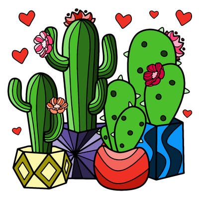 flowers_24_new