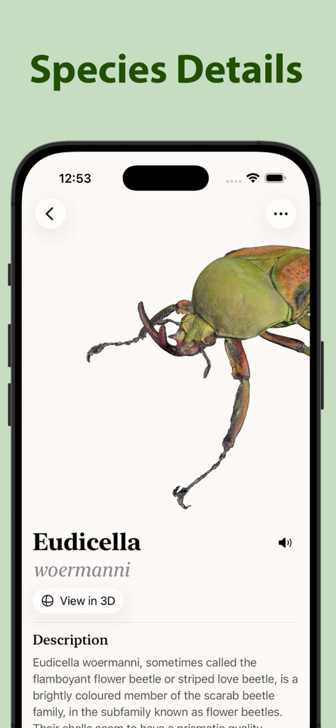 Insecta - Bug Identifier - Detailed information and 3D view of a green beetle on the Insecta app species details screen