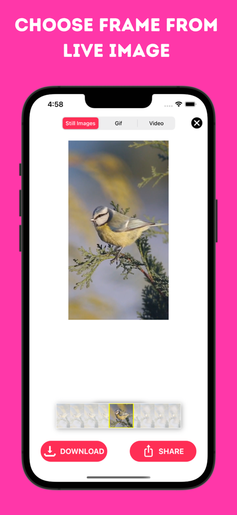 鳥のライブ写真から特定の静止フレームを選択してダウンロードする方法を示すモバイルアプリインターフェース。