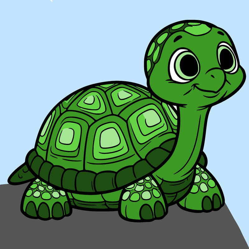 tortoise