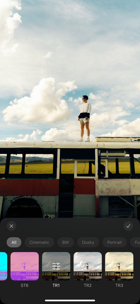 さまざまなカラーフィルターとクリエイティブプリセットを示すモバイル写真編集アプリのインターフェイス