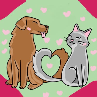 animals_22
