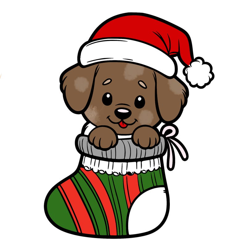 cute puppy wearing santa hat in socking