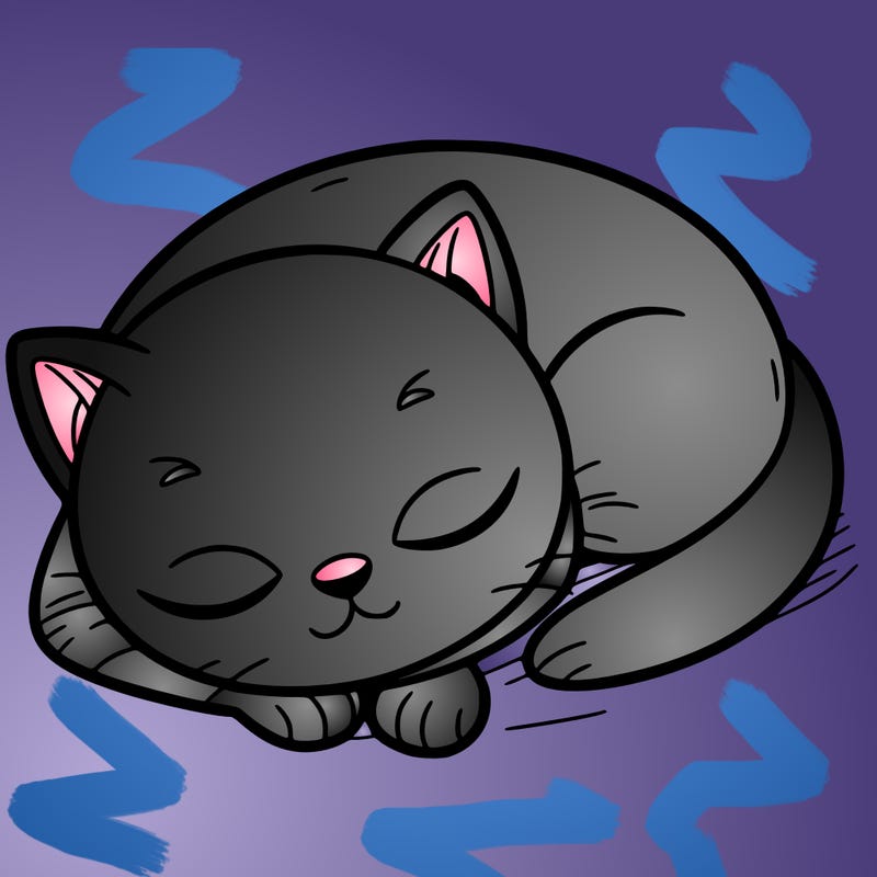 sleeping cat
