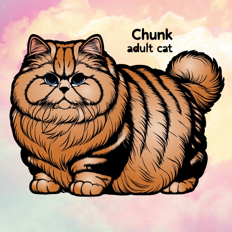 realistic chunk and fluffy adult cat